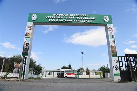 bornova belediyesi veteriner işleri telefon